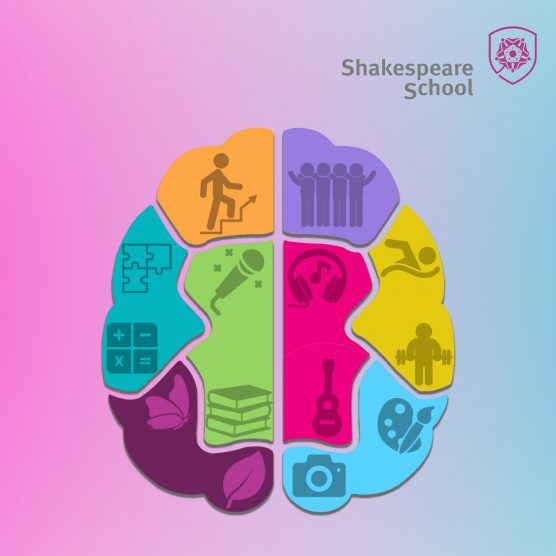 Types of intelligence (image source: Shakespeare School)